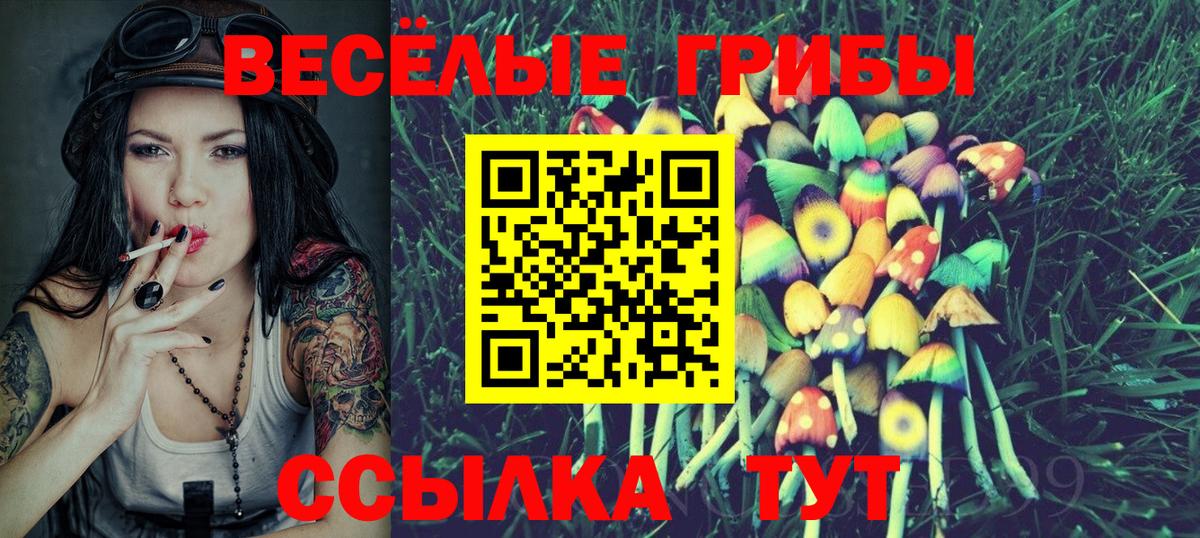 Кирово-Чепецк  АМФ кристаллы  МАРИХУАНА  COCAIN  A-PVP СК кристаллы  Мефедрон кристаллы  Вход с VPN  ГАШИШ  Лсд 25 
